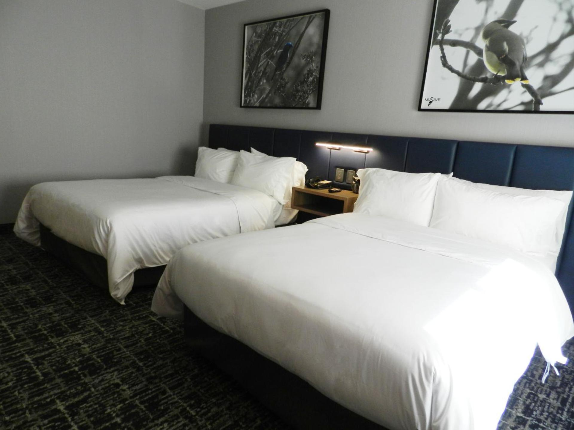 Voco Saltillo Suites By Ihg Exteriér fotografie