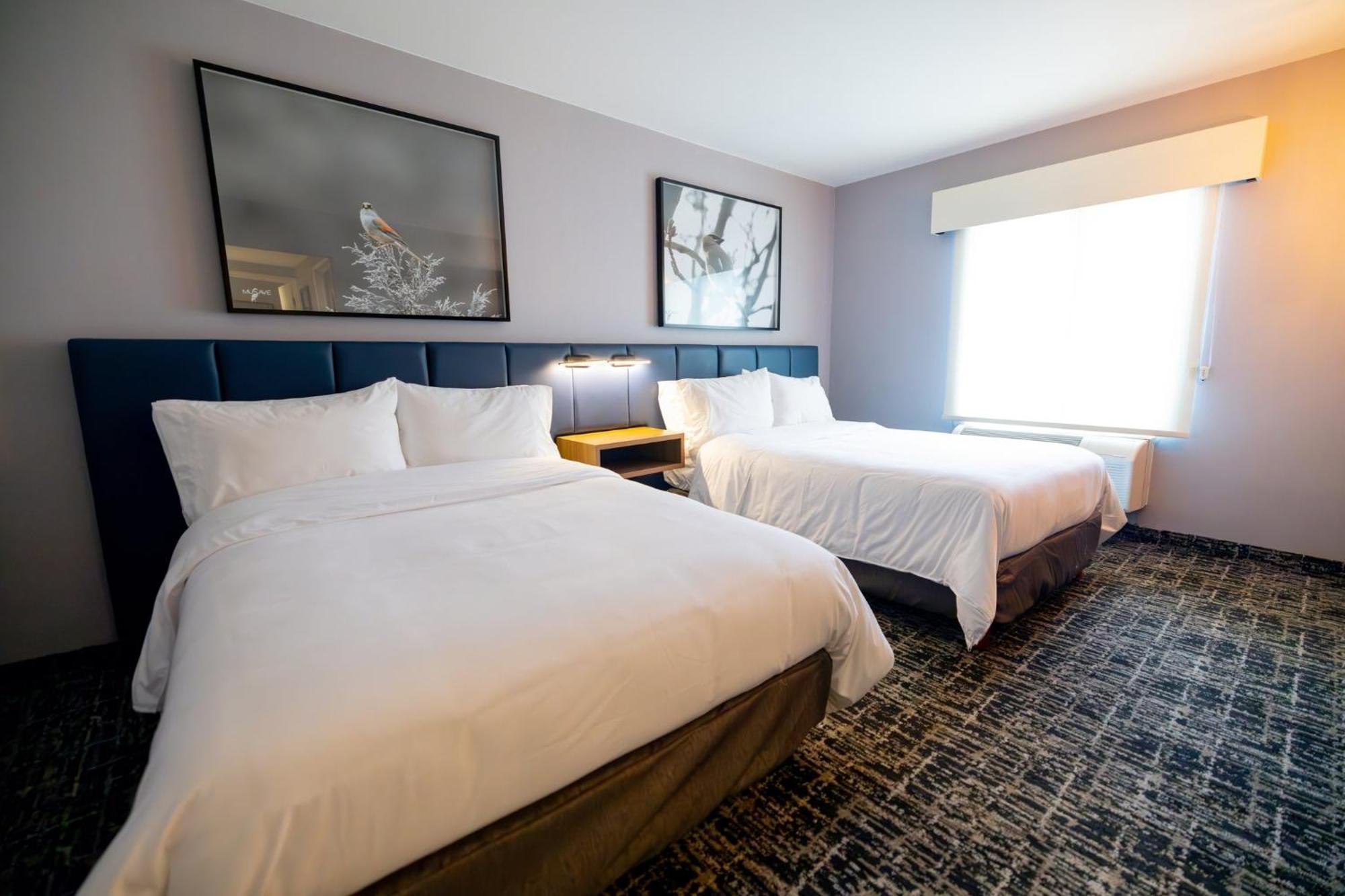 Voco Saltillo Suites By Ihg Exteriér fotografie