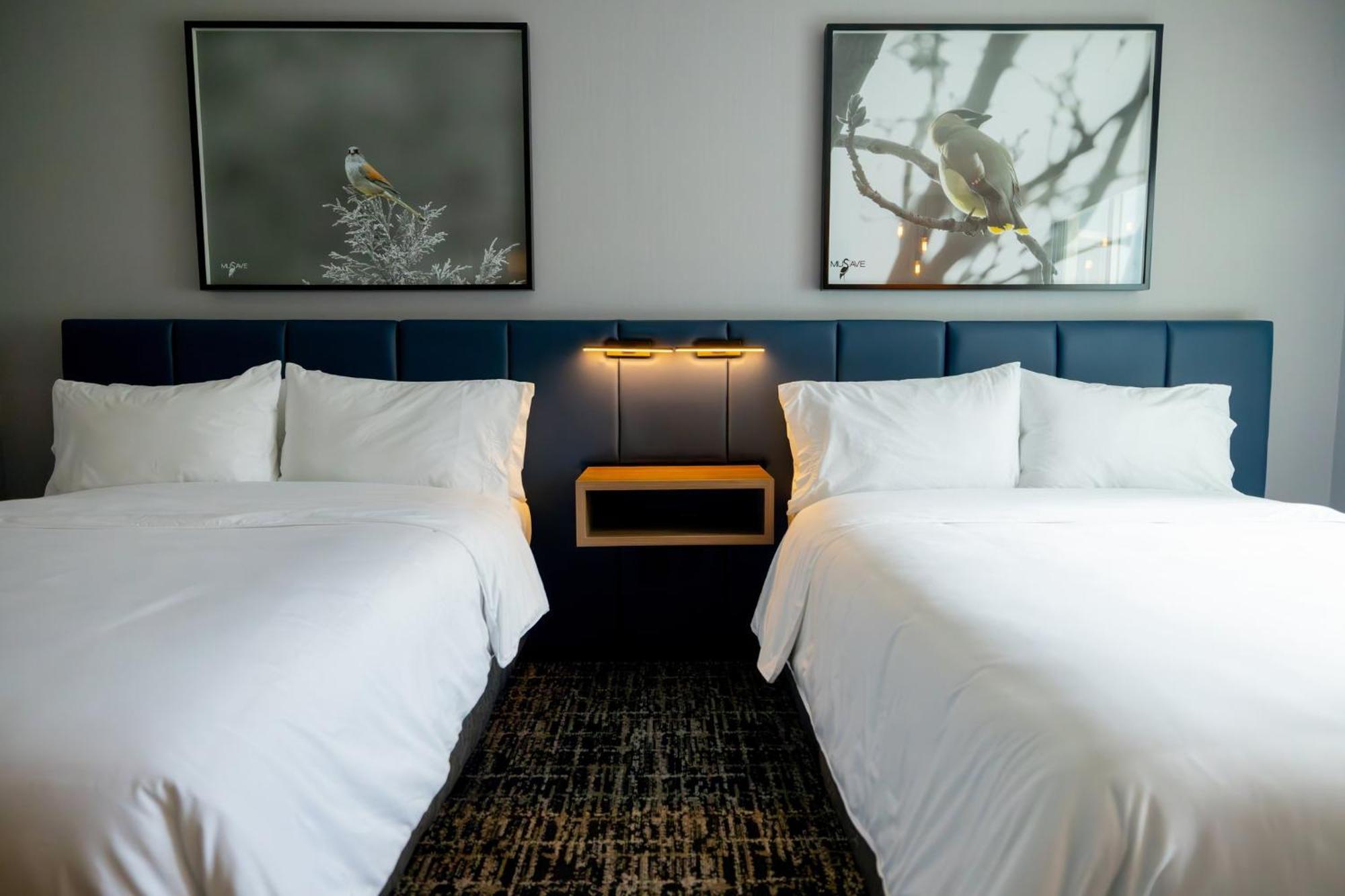 Voco Saltillo Suites By Ihg Exteriér fotografie